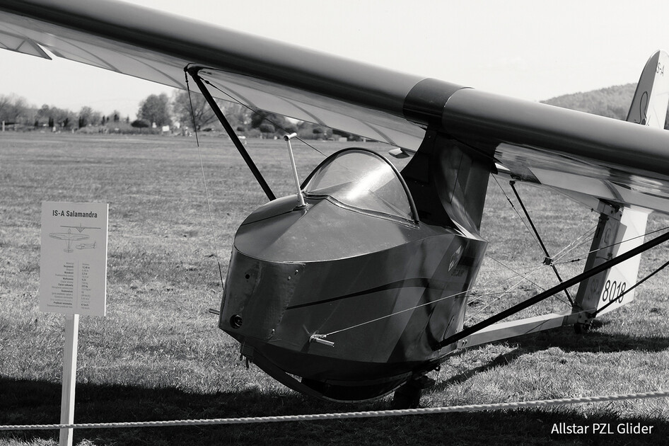 Szd-Allstar-Pzl-Glider-80th-Anniversary-Salamandra-Kopie